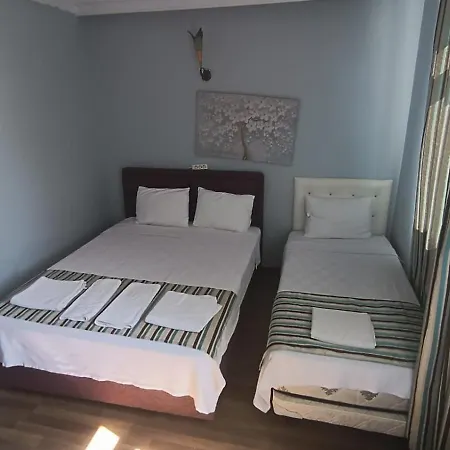 Hotel Life 3*