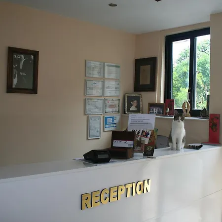 Hotel Life 3*
